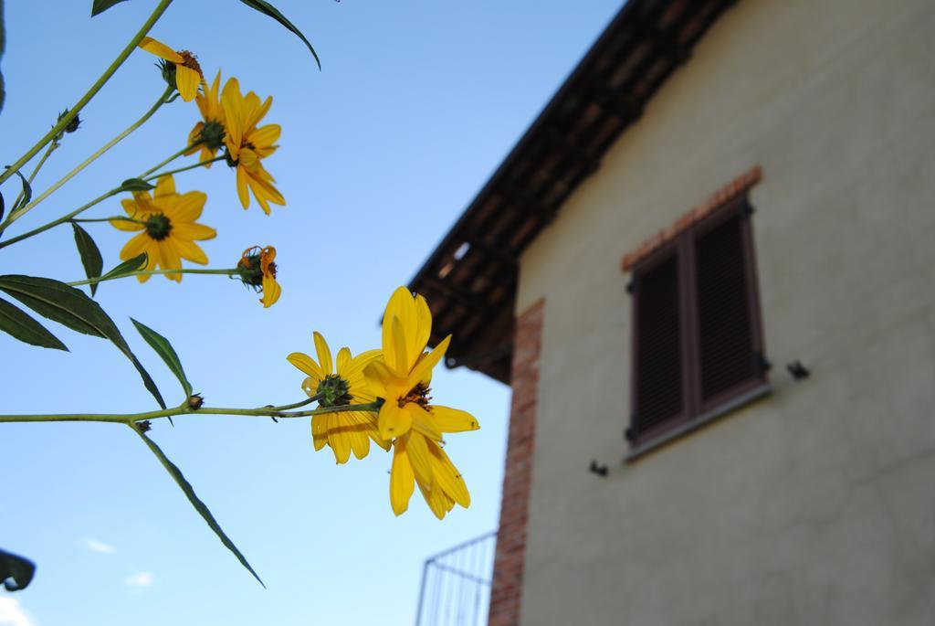 I Grappoli *